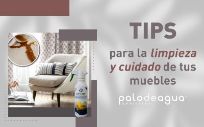 Tips para la limpieza y cuidado de tus muebles
